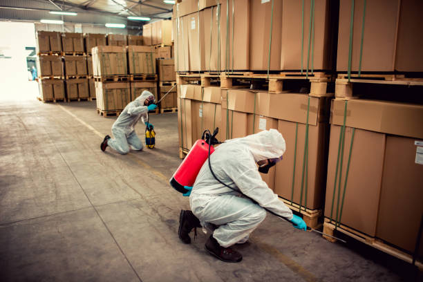 Best Bed Bug Extermination  in Gruver, TX