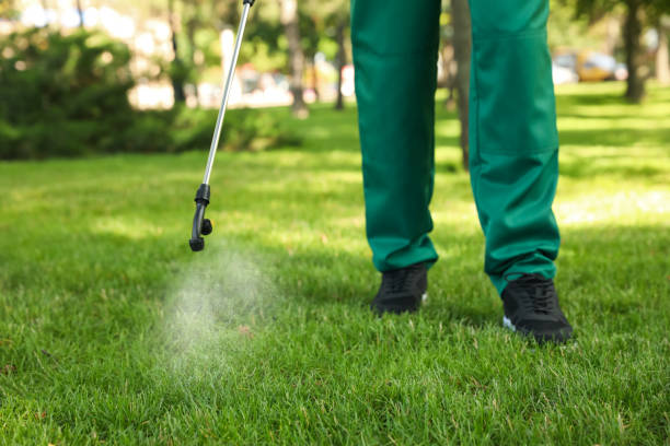 Reliable Gruver, TX Pest Control Solutions
