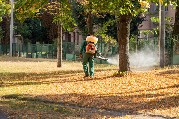 Best Termite Control Services  in Gruver, TX