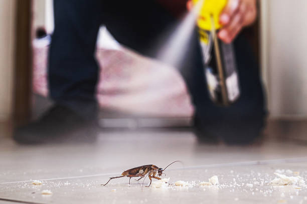 Best Emergency Pest Control  in Gruver, TX