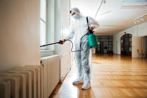 Wasp Removal Services in Gruver, TX